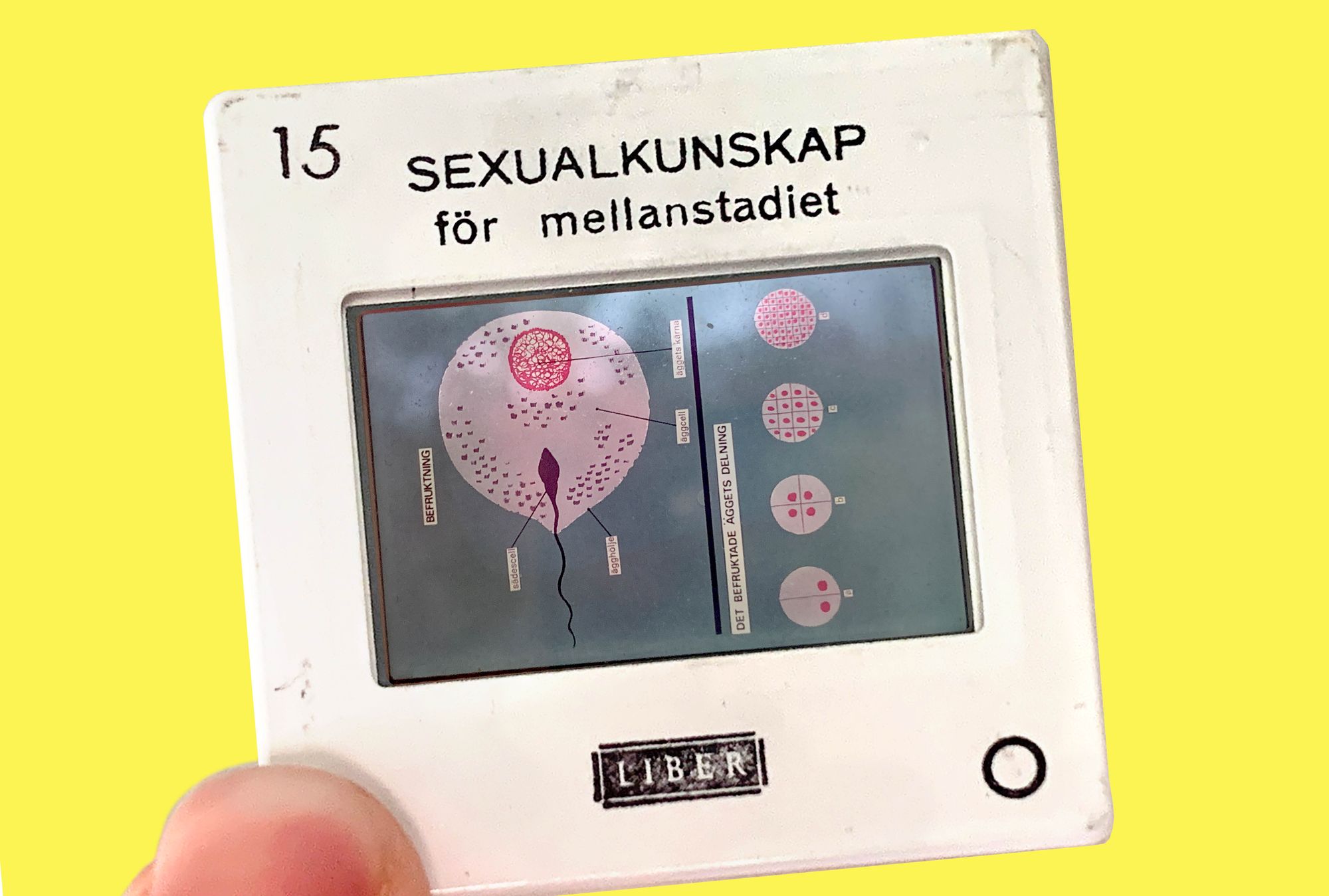 How Far Weve Cum Swedens Sex Ed Through Time