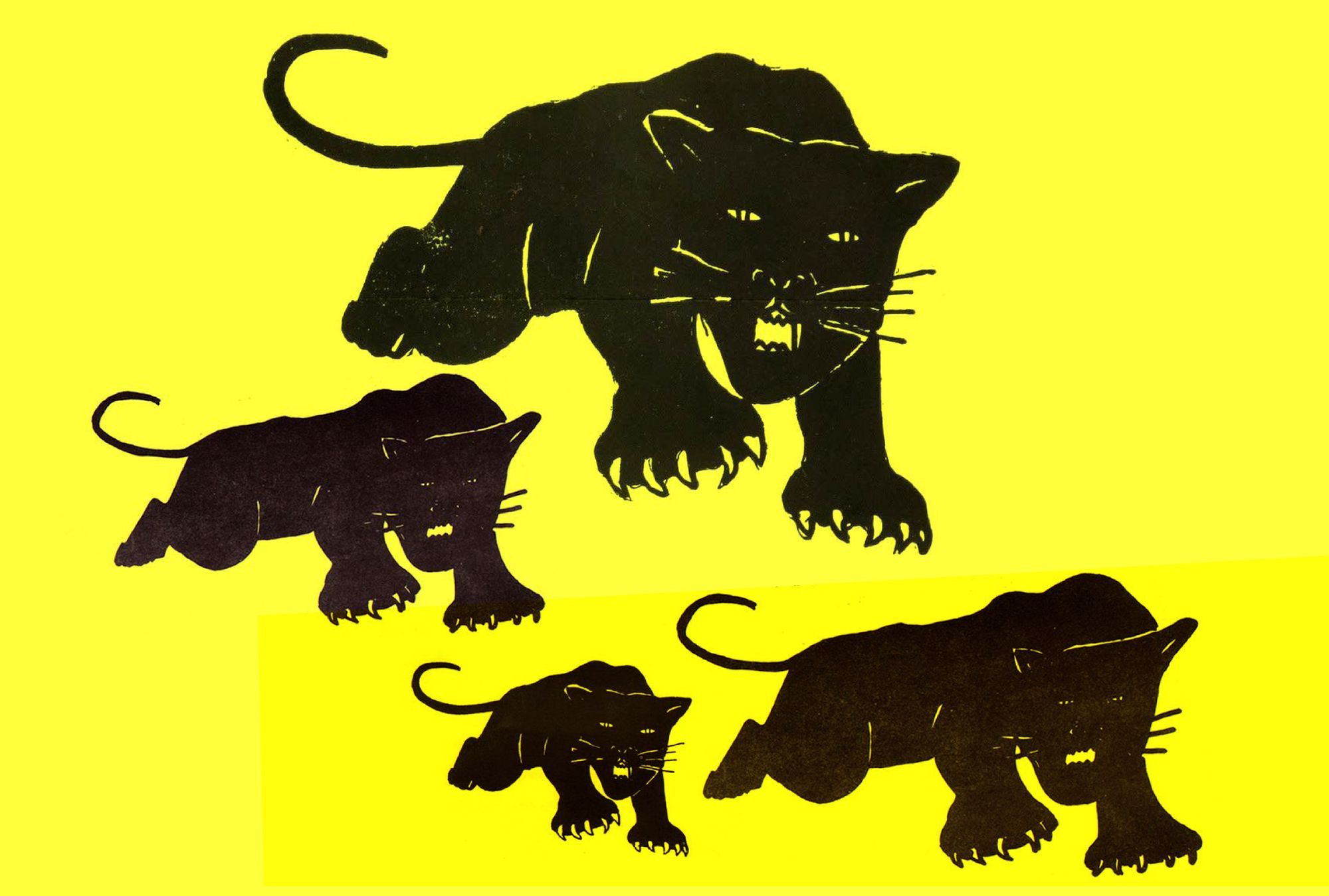 What Are Black Panthers, Anyway?