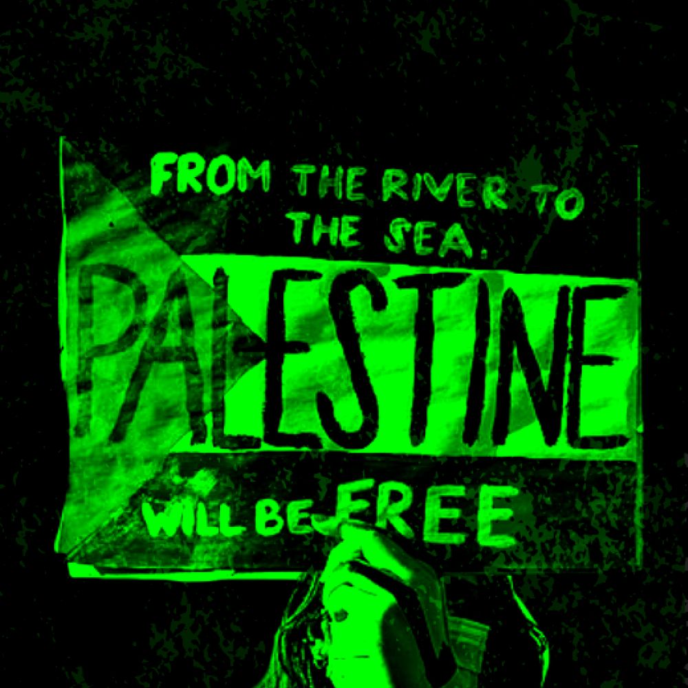 Digital Colonialism and Palestinian Resistance
