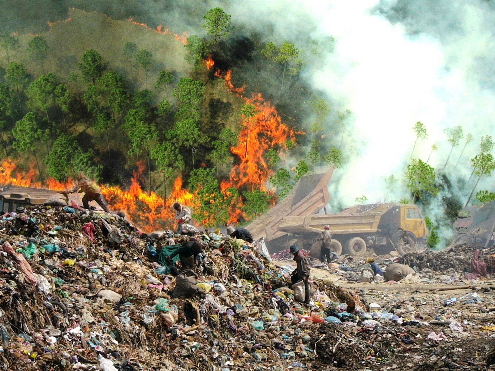 On the Contradictions of Sustainability